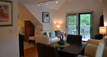 Luxury Apartment in the Heart of Blue Hill Village