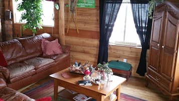 Fernseher, DVD-Player, Bücher, Videothek