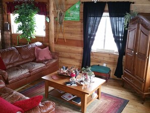 Tv, dvd-afspiller, bøger, videobibliotek