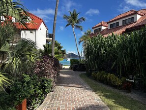 Property grounds - Renovated OCEANFRONT BEACHFRONT BEACH LEVEL one step to beautiful white sand  (st thomas)