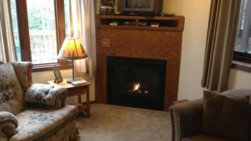 Smart TV, fireplace, DVD player, books