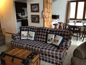 TV connectée, cheminée, lecteur de DVD, livres