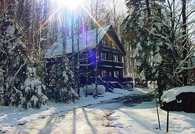 Nordic Haus chalet nestled in the serene woods of Ski Brule Village