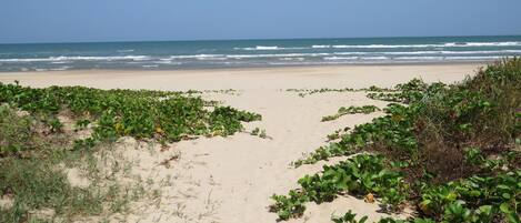 Beach nearby, sun loungers, beach towels