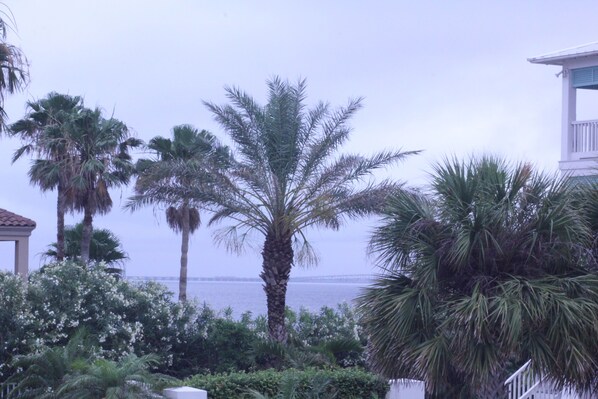 Property grounds - Beautiful 4 Bedroom Home (South Padre Island)