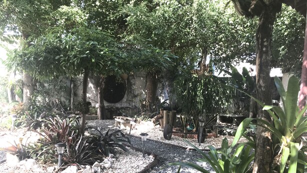 Un jardín con un sendero de grava, diversas plantas y un muro de piedra.