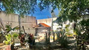 Un jardín con una estatua, una fuente para pájaros y un pequeño pabellón.