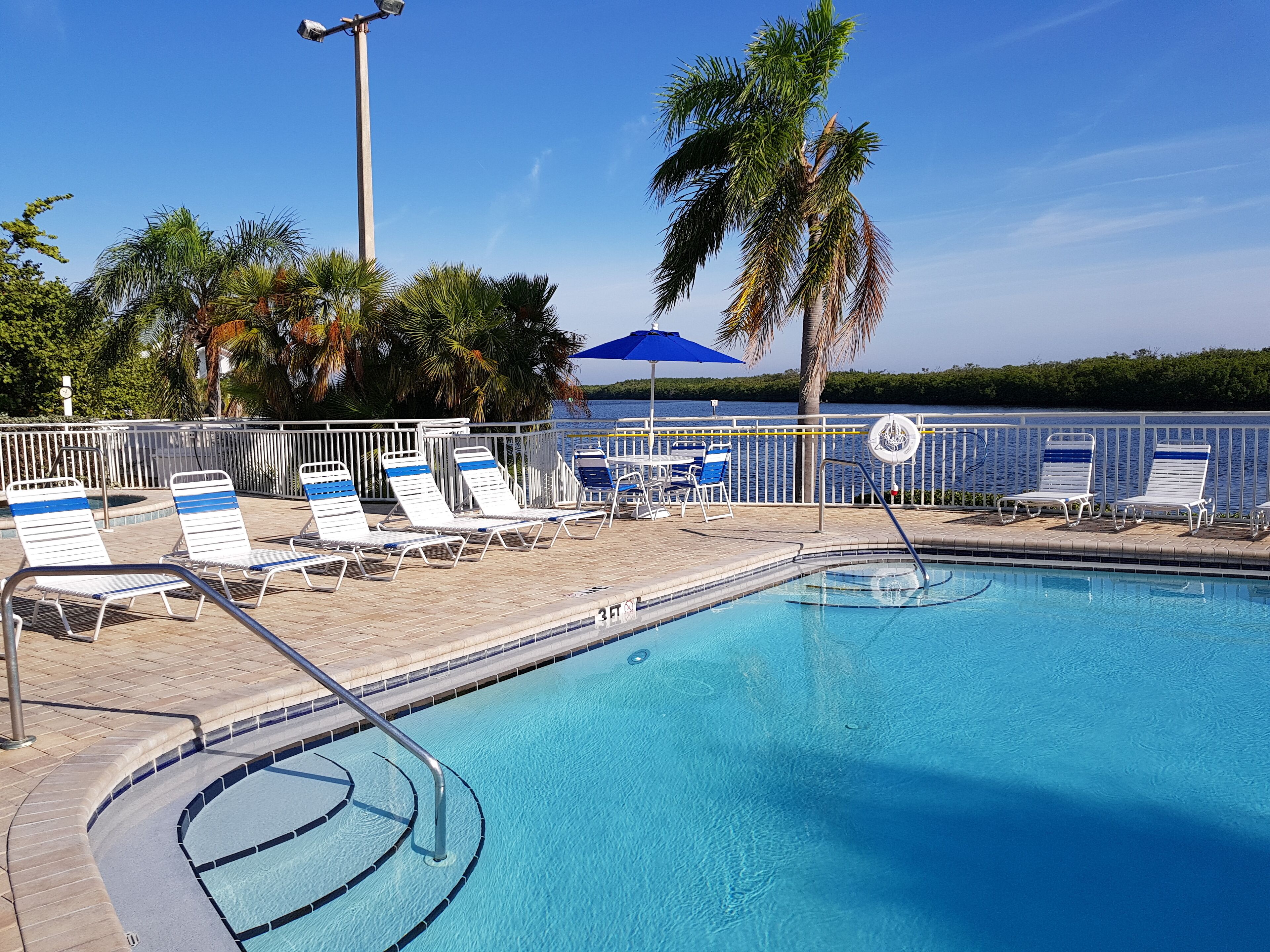 A pool area with lounge chairs and a palm tree.