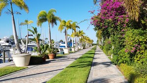 Un port esportiu amb embarcacions amarrades, envoltat de palmeres i plantes amb flor.