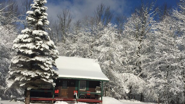 Une cabane dont le toit est recouvert de neige, entourée d’arbres chargés de neige et sous un ciel bleu dégagé.