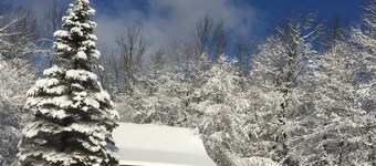 Charming Country Cottage Located On Cute Farm, Minutes From The Delaware River
