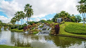 Un jardin aménagé avec un bassin, des palmiers et une cascade.