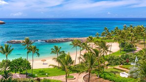 Un complexe hôtelier de style tropical situé sur une plage, offrant une vue dégagée sur l’océan, des palmiers et un espace pelouse bien entretenu.