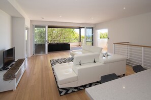 Televisión, chimenea y reproductor de DVD