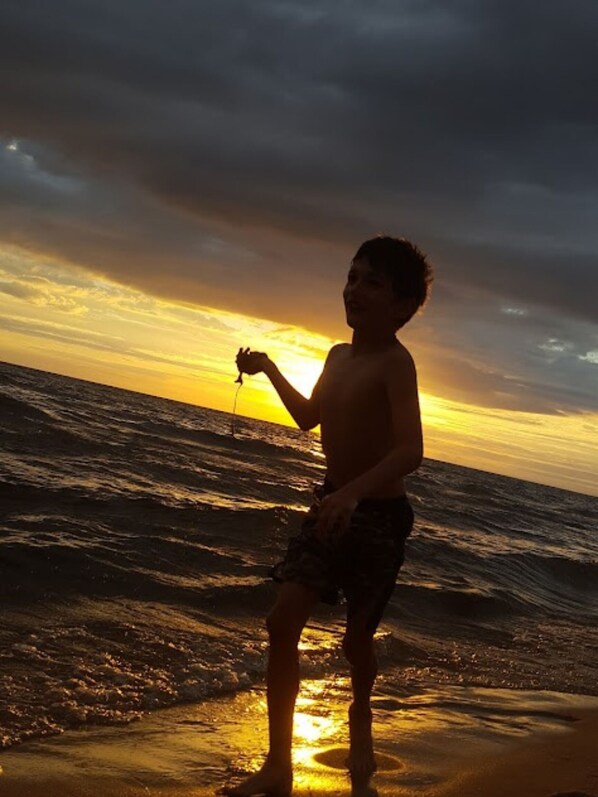 Beach