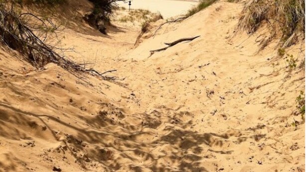 Un sentier de sable qui longe la plage et mène à la mer, avec des arbres de chaque côté.
