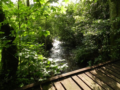 Mökki purolla Maggie's Farm / ilmainen WIFI