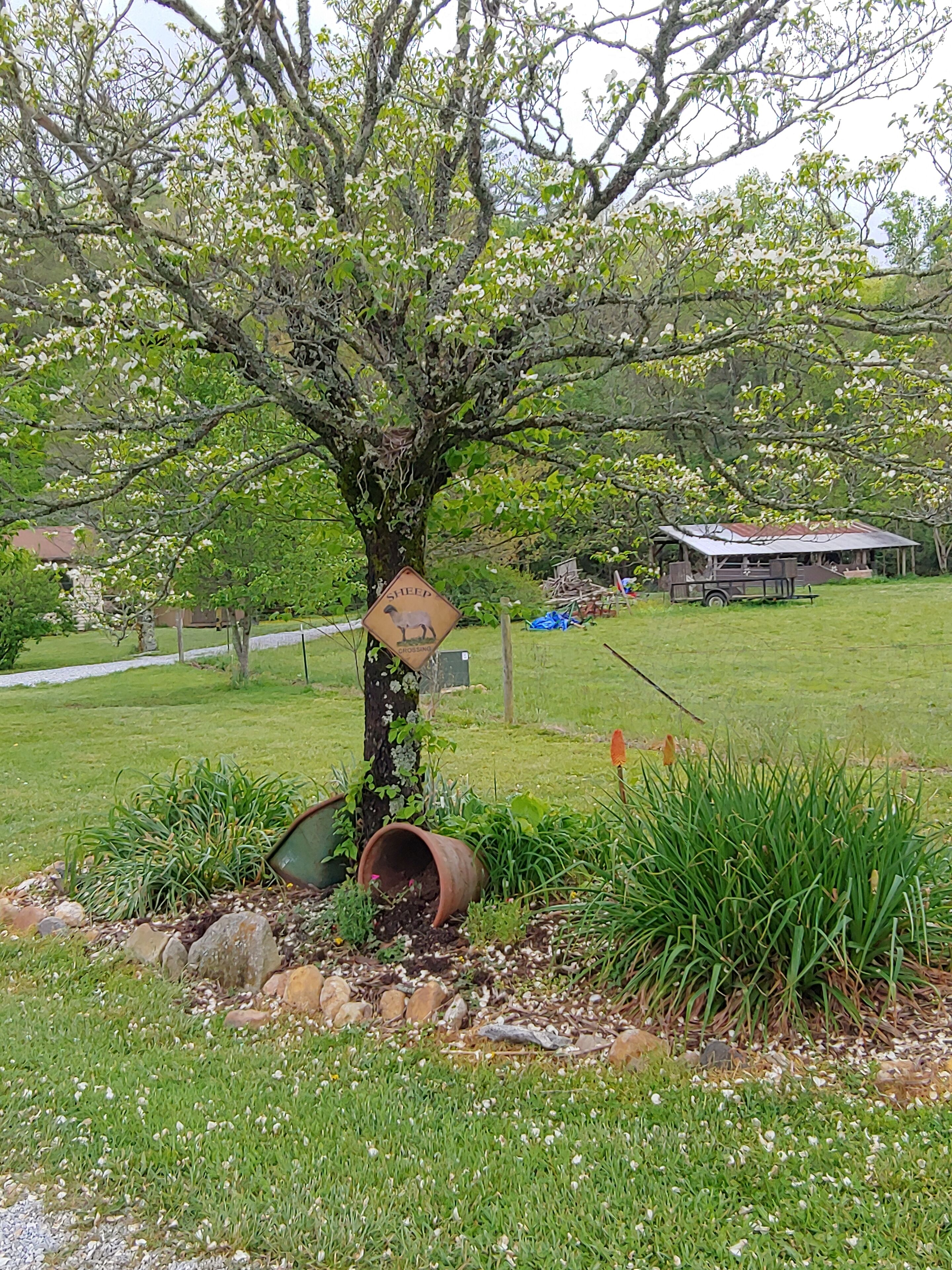 Our barn on Maggie's Farm