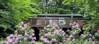 A cozy, relaxing, private cabin overlooking Sawyer Lake  WIFI, TV, AC, Heat