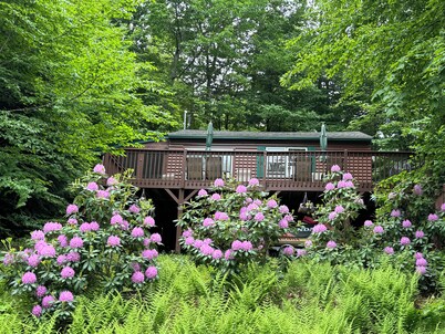 Romantic getaway, private cabin overlooking Sawyer Lake  WIFI, TV, AC, Heat