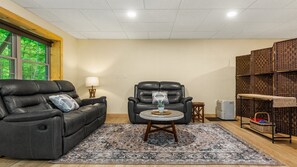 Smart TV, fireplace, DVD player, video library