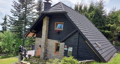 Nuestro chalet está diseñado para un placer puro en el corazón de la naturaleza