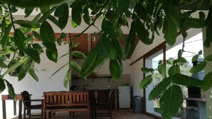 Un patio con un banco y una mesa de madera, rodeado de hojas verdes grandes.