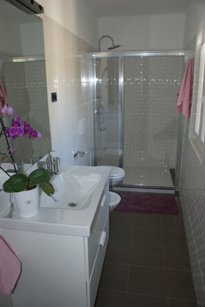 Dusche, Haartrockner, Bidet, Handtücher