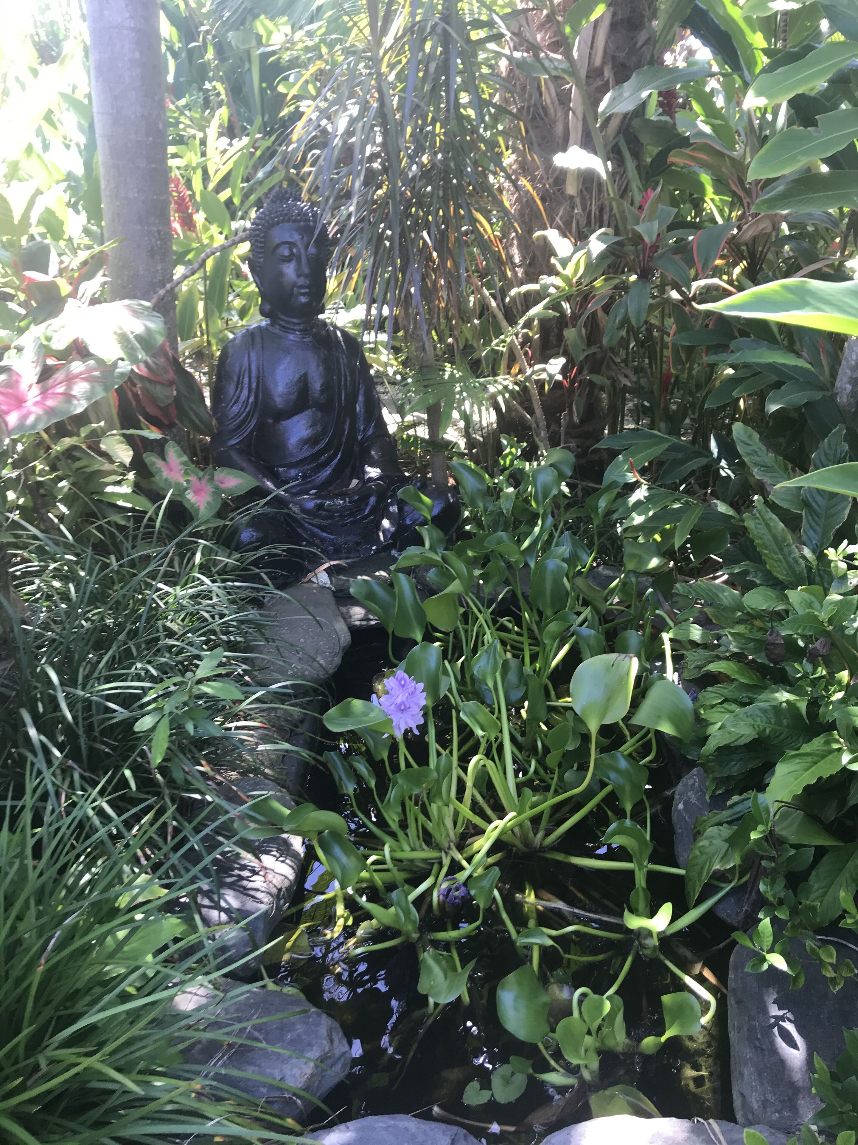 Tropical Relaxating Oasis in Port Douglas — image 30