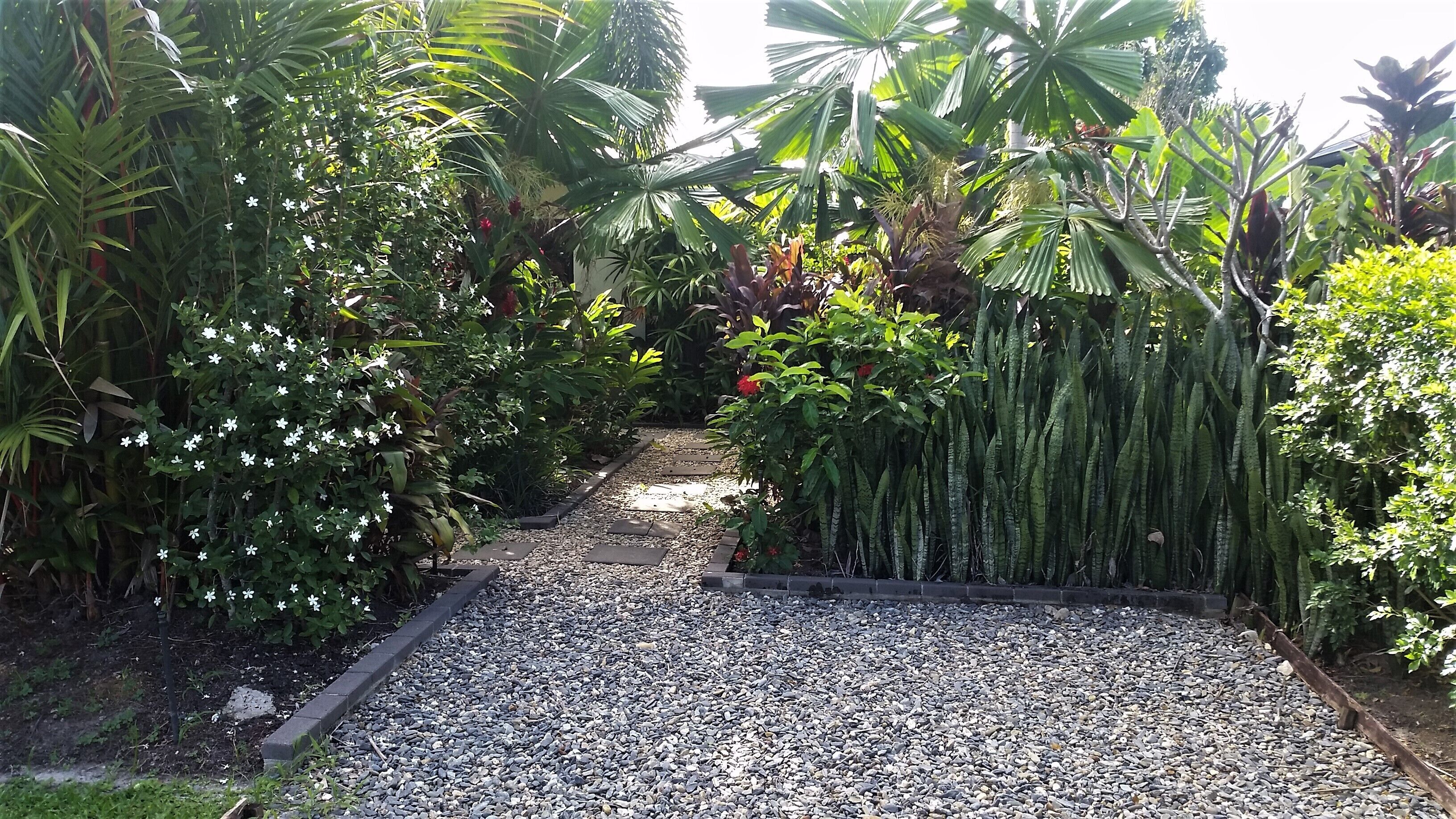 Tropical Relaxating Oasis in Port Douglas — image 9