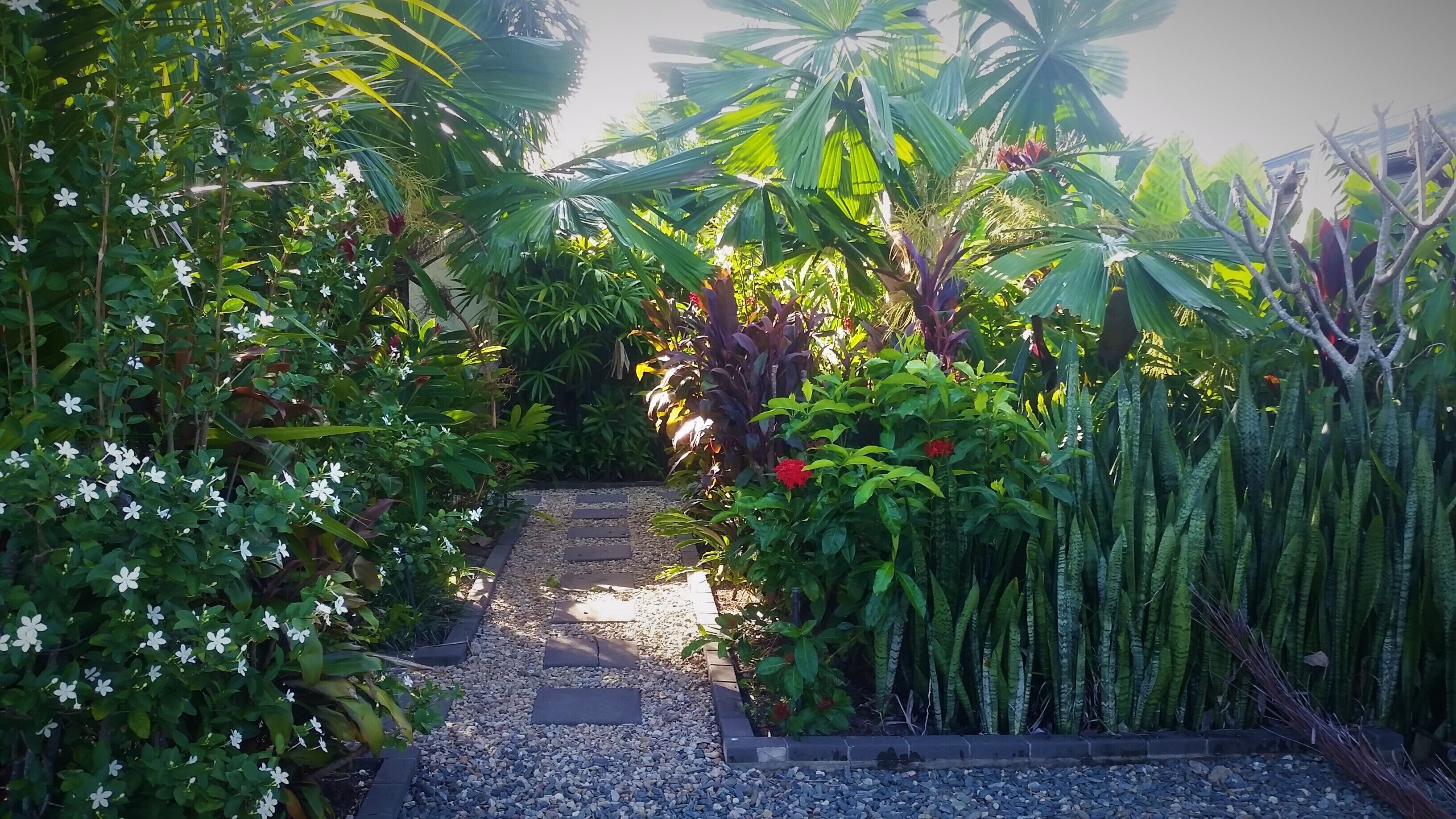 Tropical Relaxating Oasis in Port Douglas — image 10