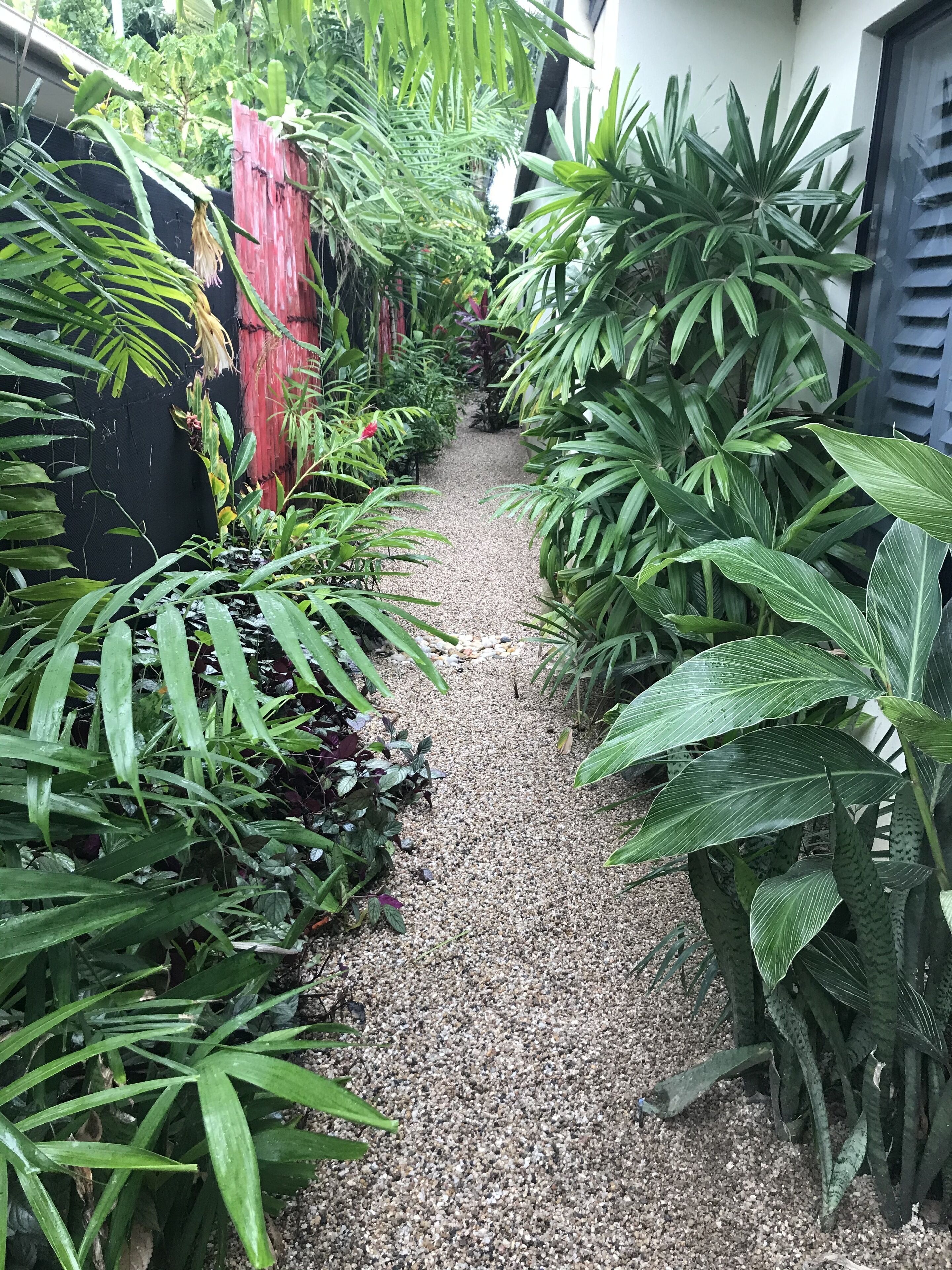 Tropical Relaxating Oasis in Port Douglas — image 29