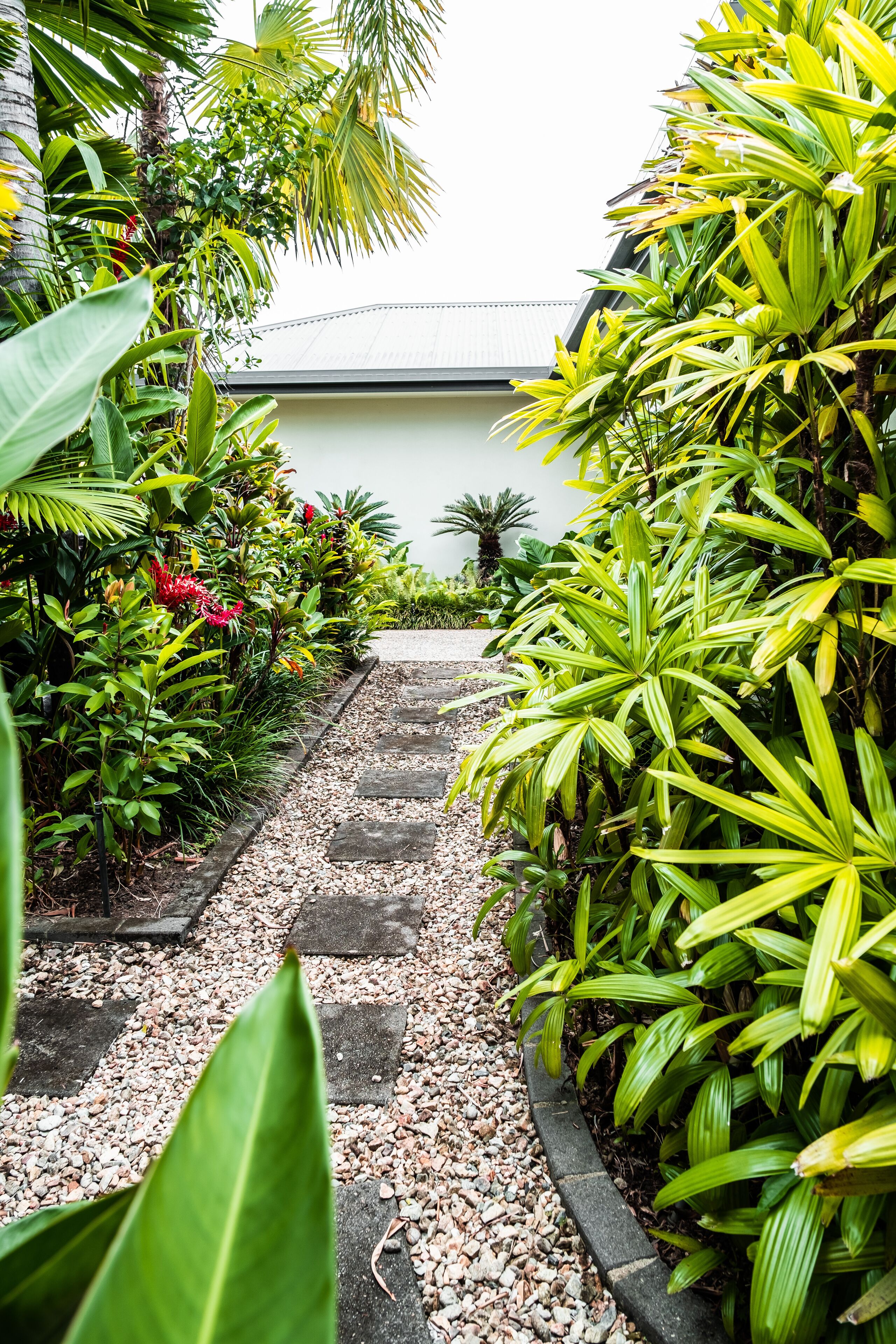 Un sendero bordeado por exuberante vegetación tropical que conduce a un edificio con techo curvo.