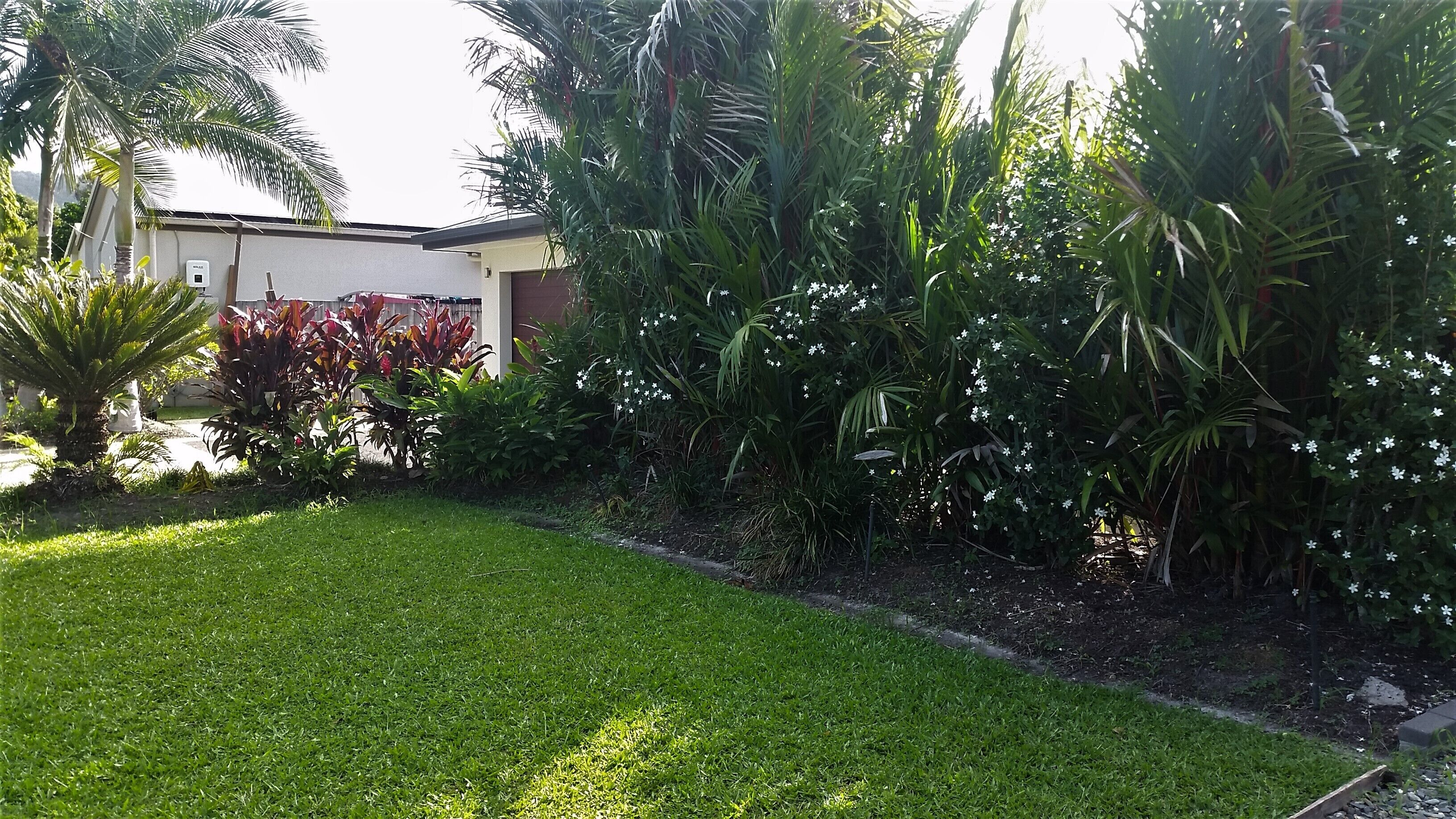 Tropical Relaxating Oasis in Port Douglas — image 28