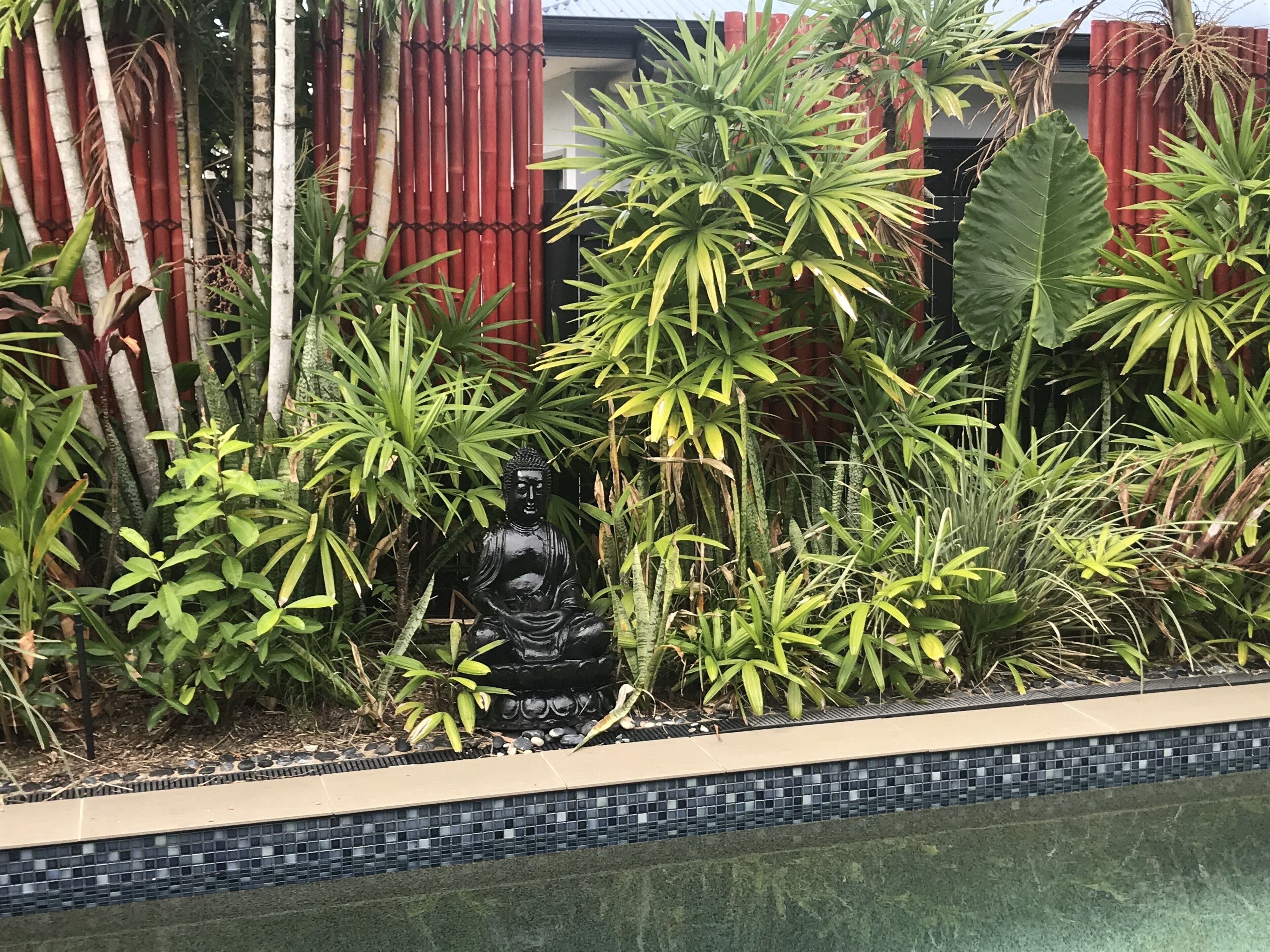 Tropical Relaxating Oasis in Port Douglas — image 14