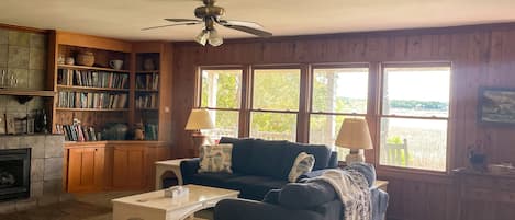 Smart TV, fireplace, DVD player, books