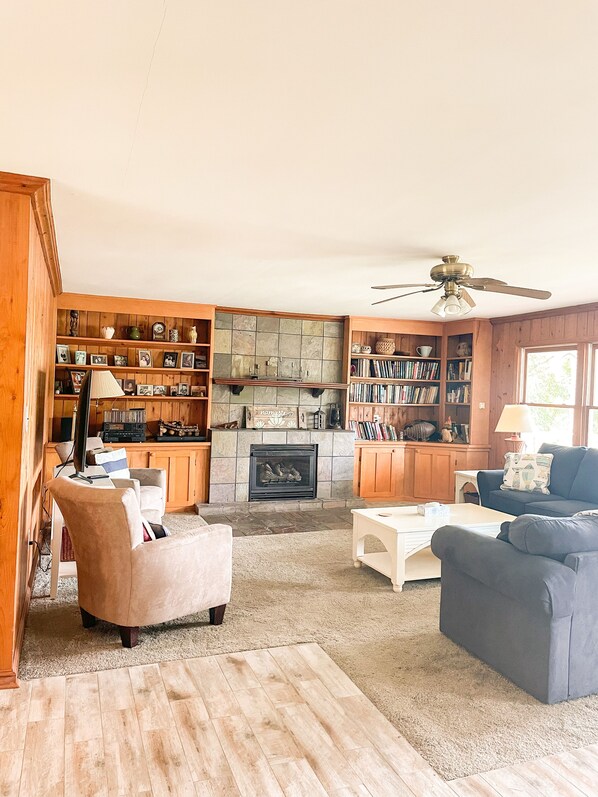 智能电视、壁炉、DVD 播放器、书