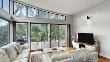 Televisión, chimenea y reproductor de DVD