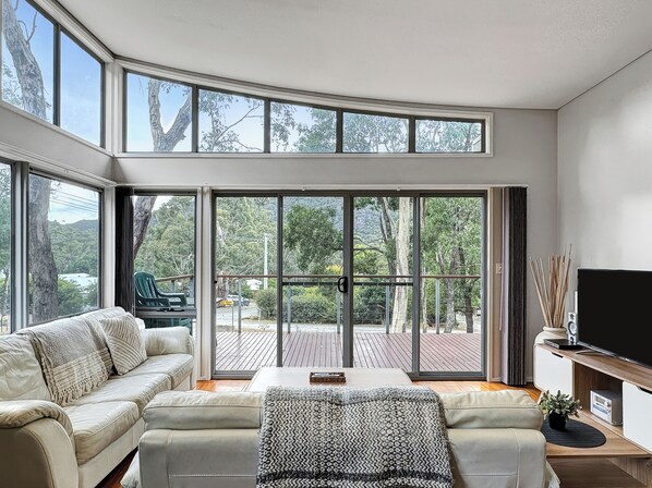 TV, fireplace, DVD player