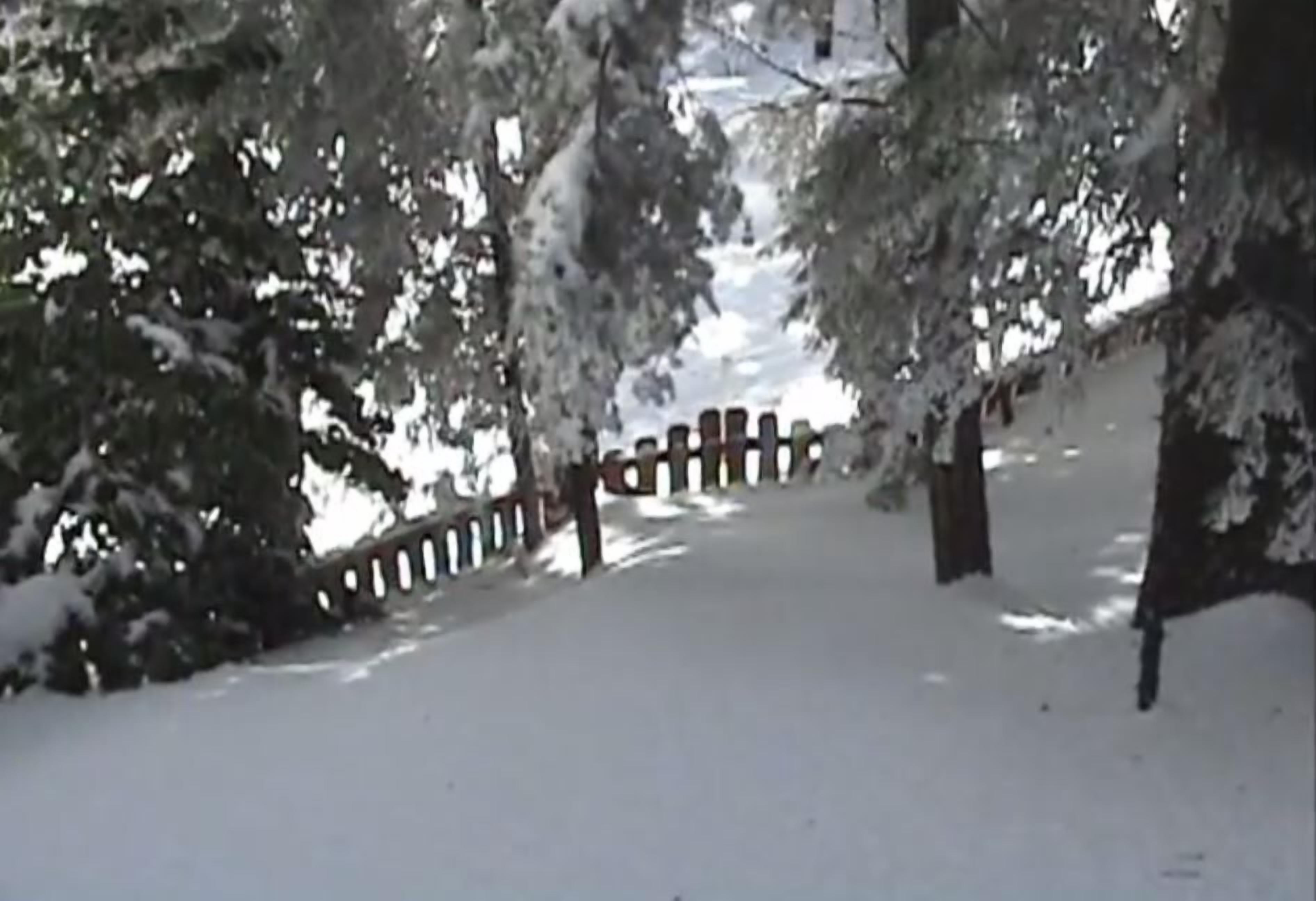 A snow-covered pathway with a wooden fence and trees.