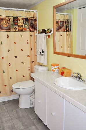 Shower, towels, soap, toilet paper