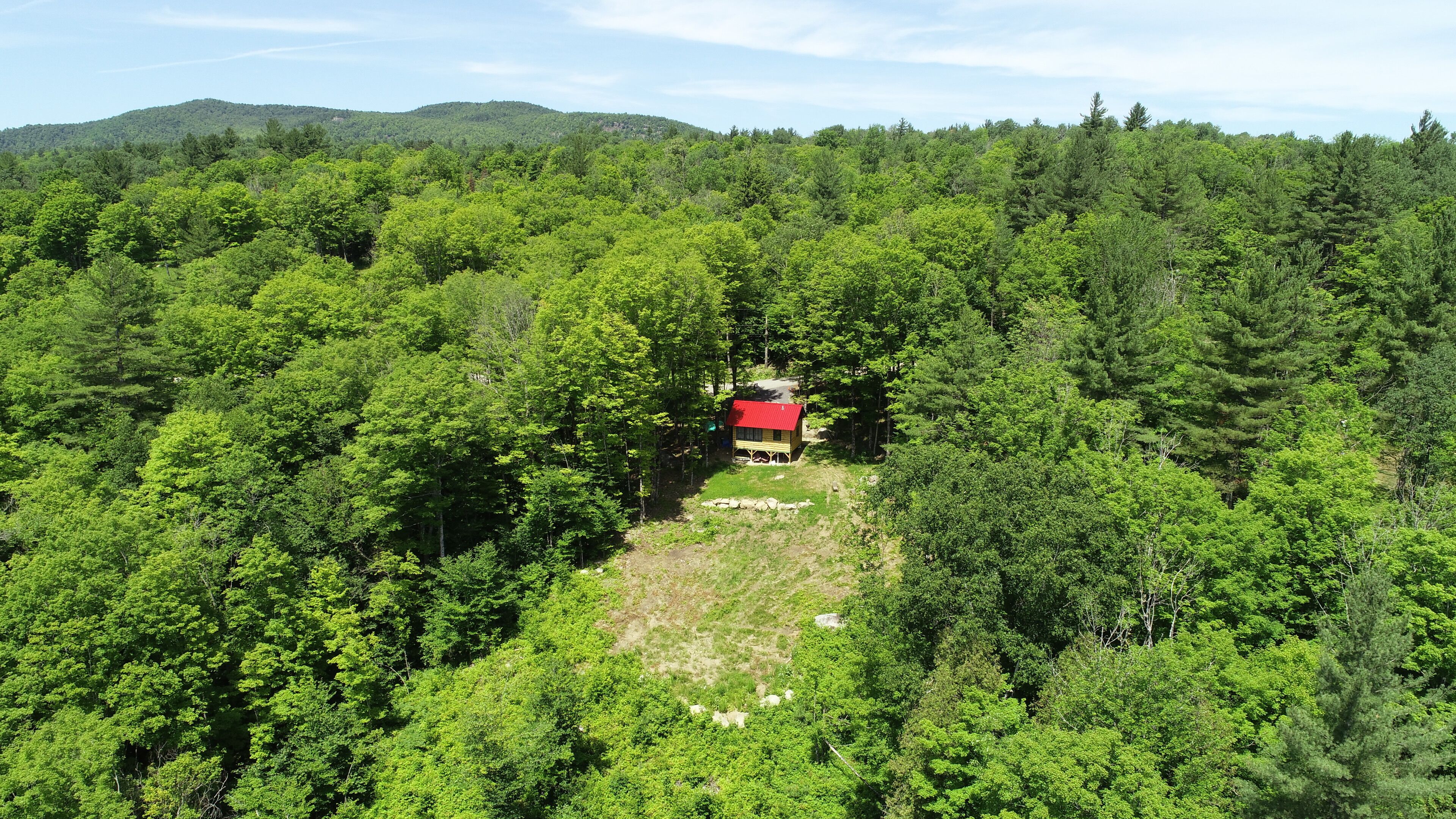 A cabin surrounded by dense forest with a clear view of the surrounding landscape.