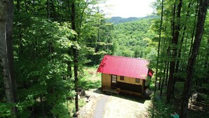 A small wooden cabin with a red roof surrounded by dense forest and a gravel path leading to it. - ADORABLE  CABIN WITH AMAZING MOUNTAIN VIEWS CLOSE TO GORE MT (North River)