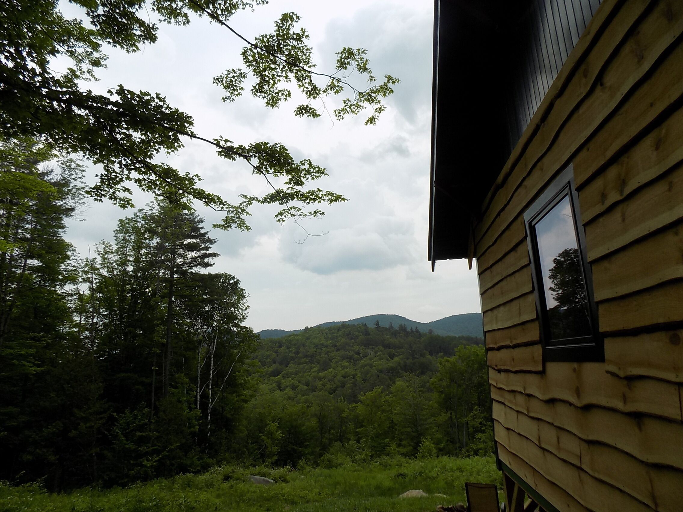 Une cabane en bois avec une fenêtre donnant sur une colline boisée.