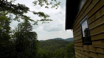Une cabane en bois avec une fenêtre donnant sur une colline boisée.