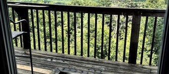 EPIC `Long Range` Blue Ridge Mountain Views - Hot-Tub Pets OK