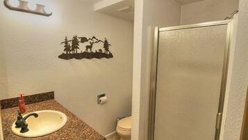 Combined shower/bathtub, hair dryer, towels, toilet paper