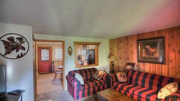 智能电视、DVD 播放器