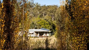 Una casa con techo de paneles solares, rodeada de un bosque denso y follaje otoñal.