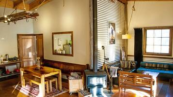 TV, fireplace, DVD player, books